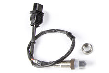 Load image into Gallery viewer, Haltech WB1 Bosch - Single Channel CAN O2 Wideband Controller Kit HT-159976